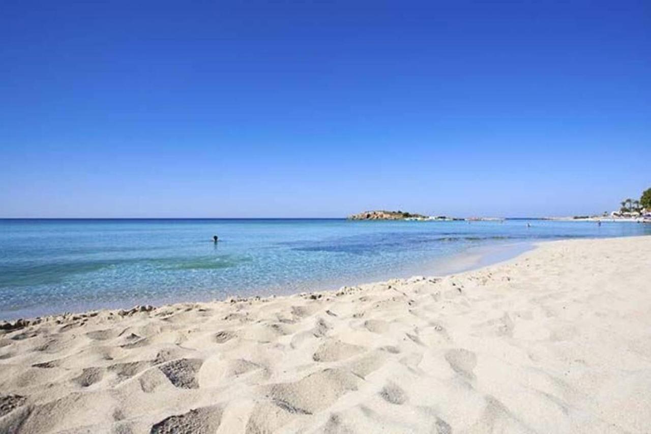 Nissi 3 Pool Access Garden Apartment Ayia Napa Exteriör bild