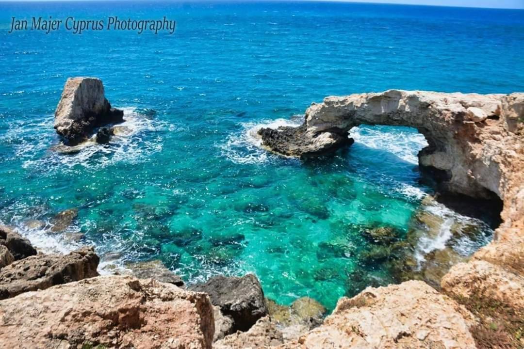 Nissi 3 Pool Access Garden Apartment Ayia Napa Exteriör bild